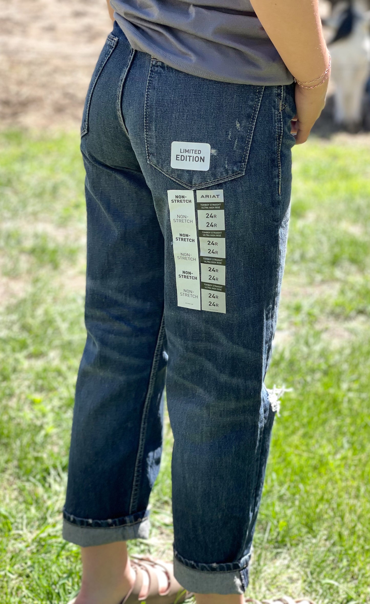 Ariat - Tomboy Straight Leg - Limited Edition
