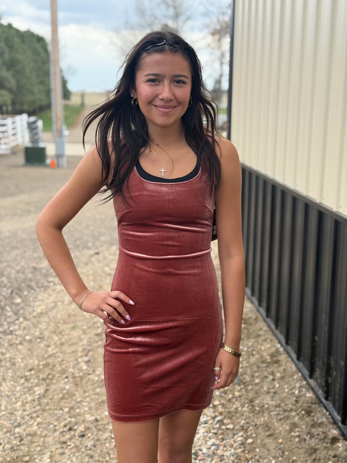 The Vintage Rose Dress