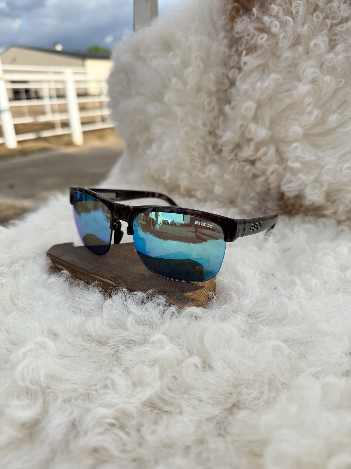 BEX Free Byrd - Tortoise Gray/Sky (Display)