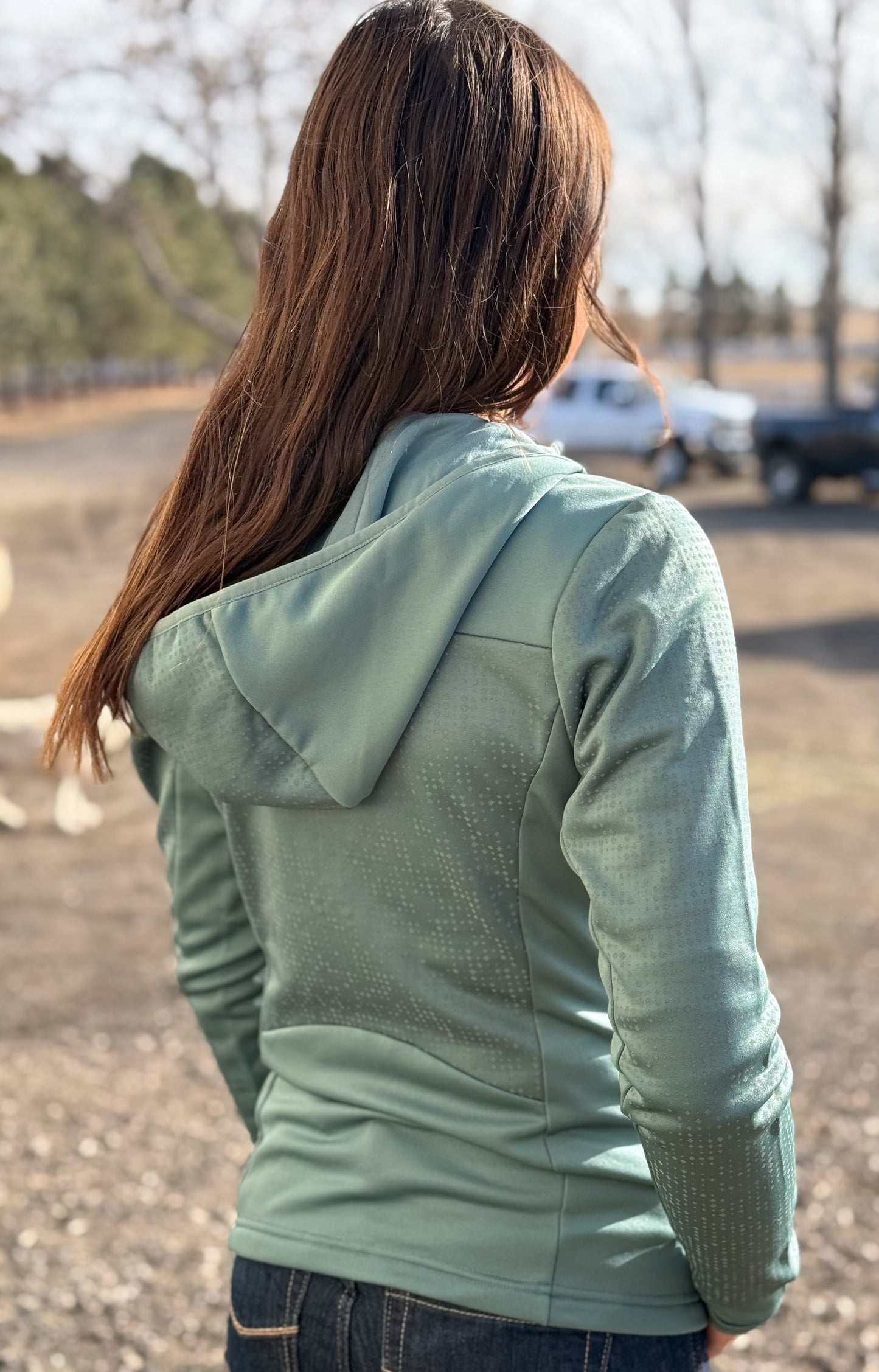 Ariat - Lumina Full Zip Sweatshirt - Sliver Pine