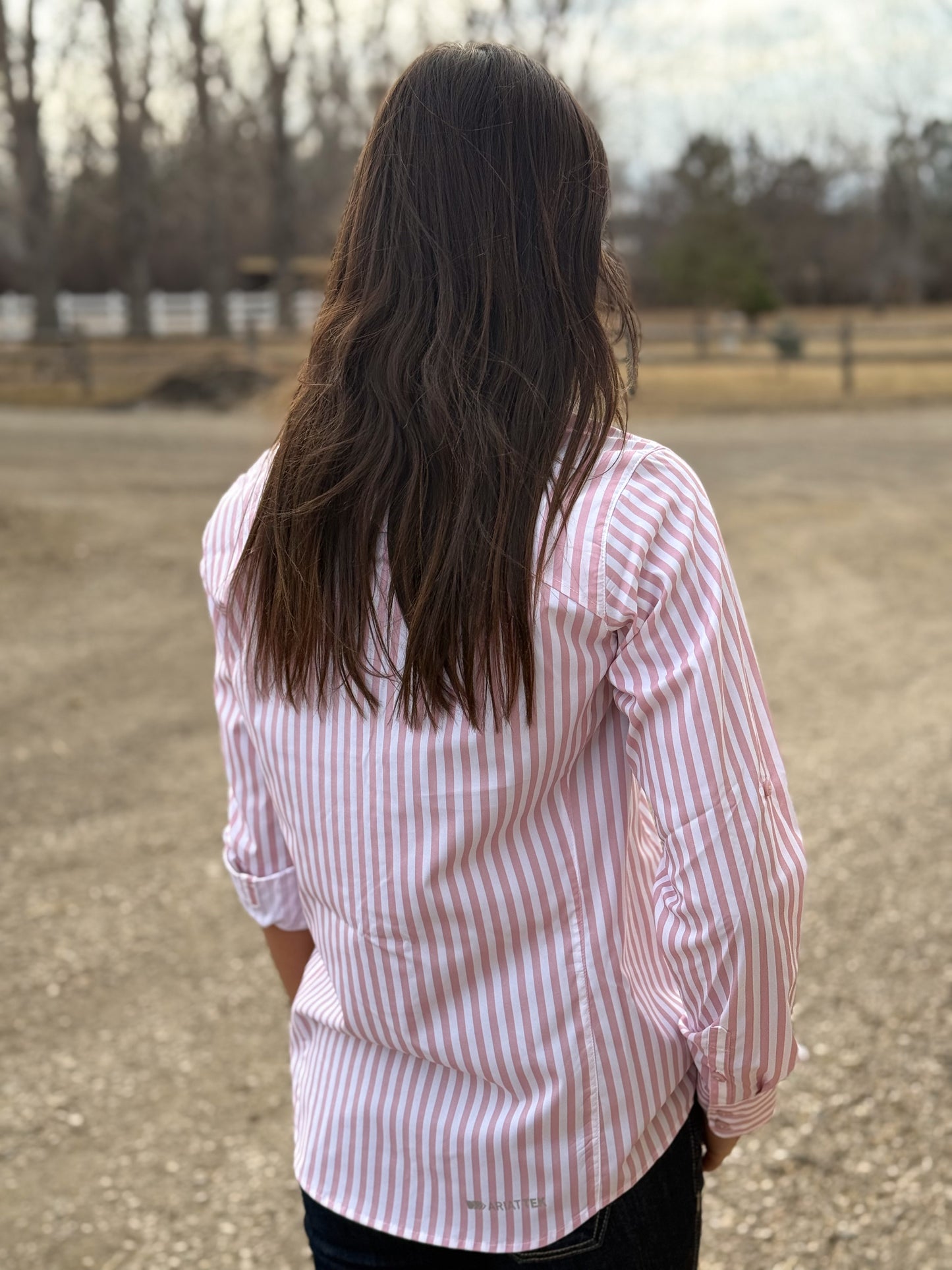 Ariat - Ventek Shirt - Zephyr