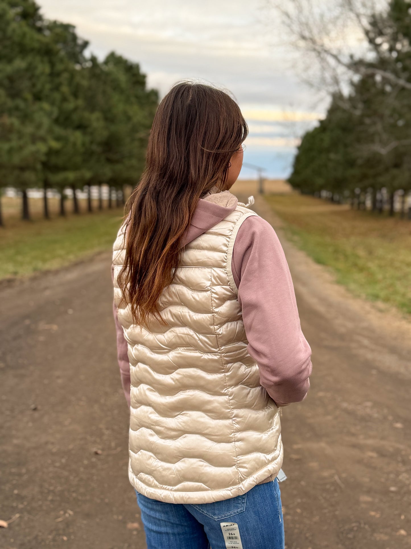 Ariat - Ideal Down Vest - Iridescent Summer Sand