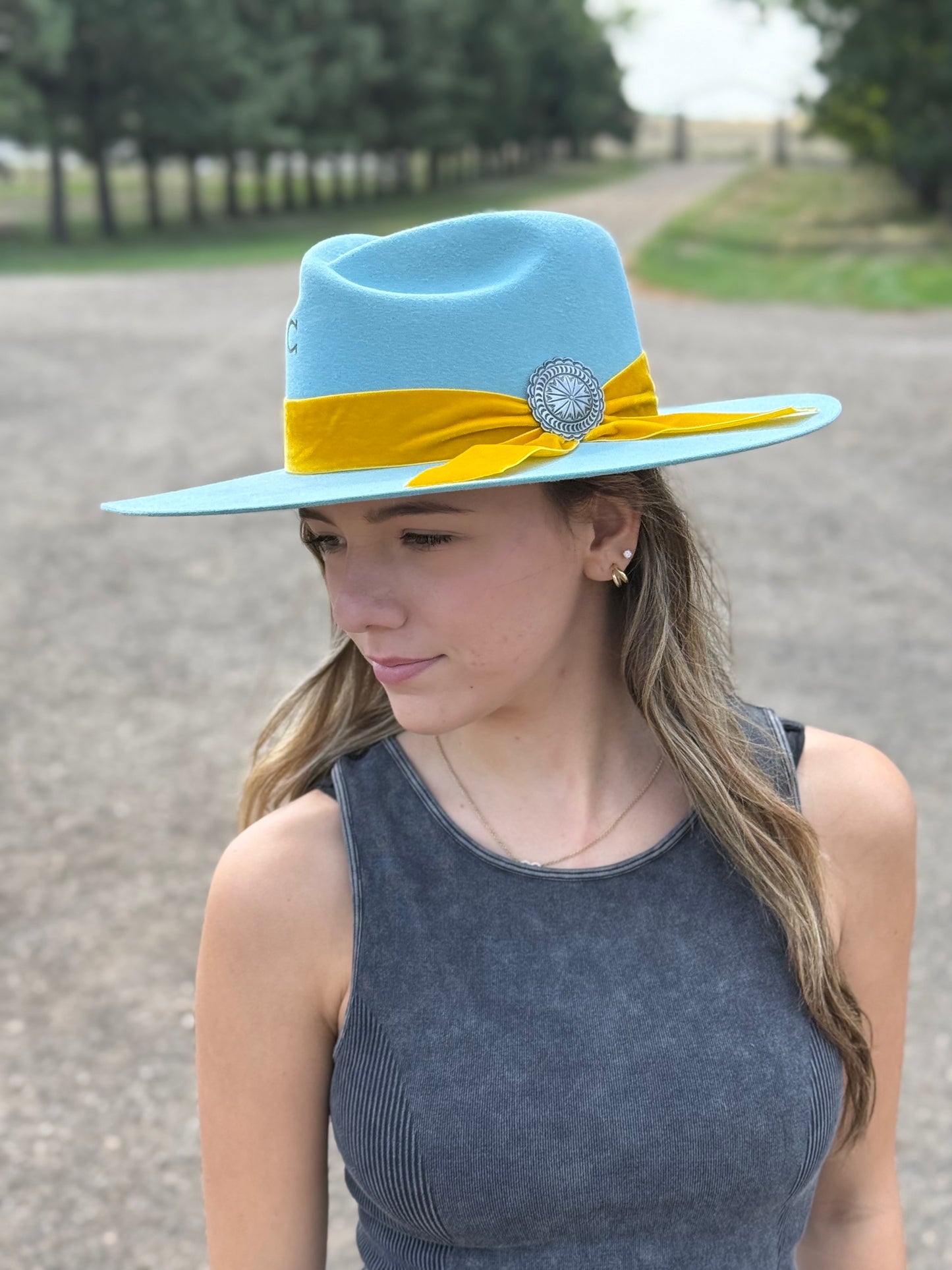 Charlie 1 Horse - Sundance - Baby Blue