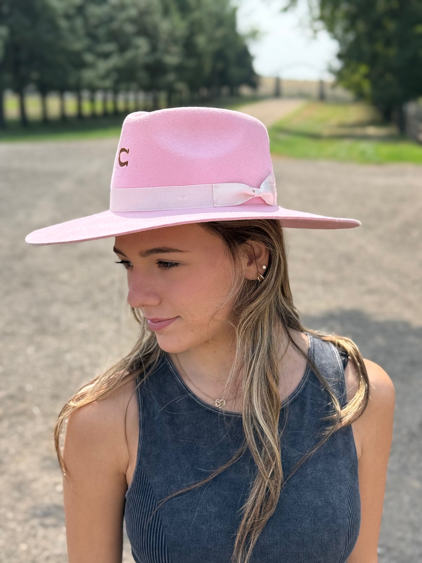 Charlie 1 Horse - Highway - Pink