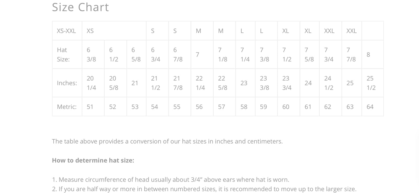 Charlie 1 Horse - Mexico Shore