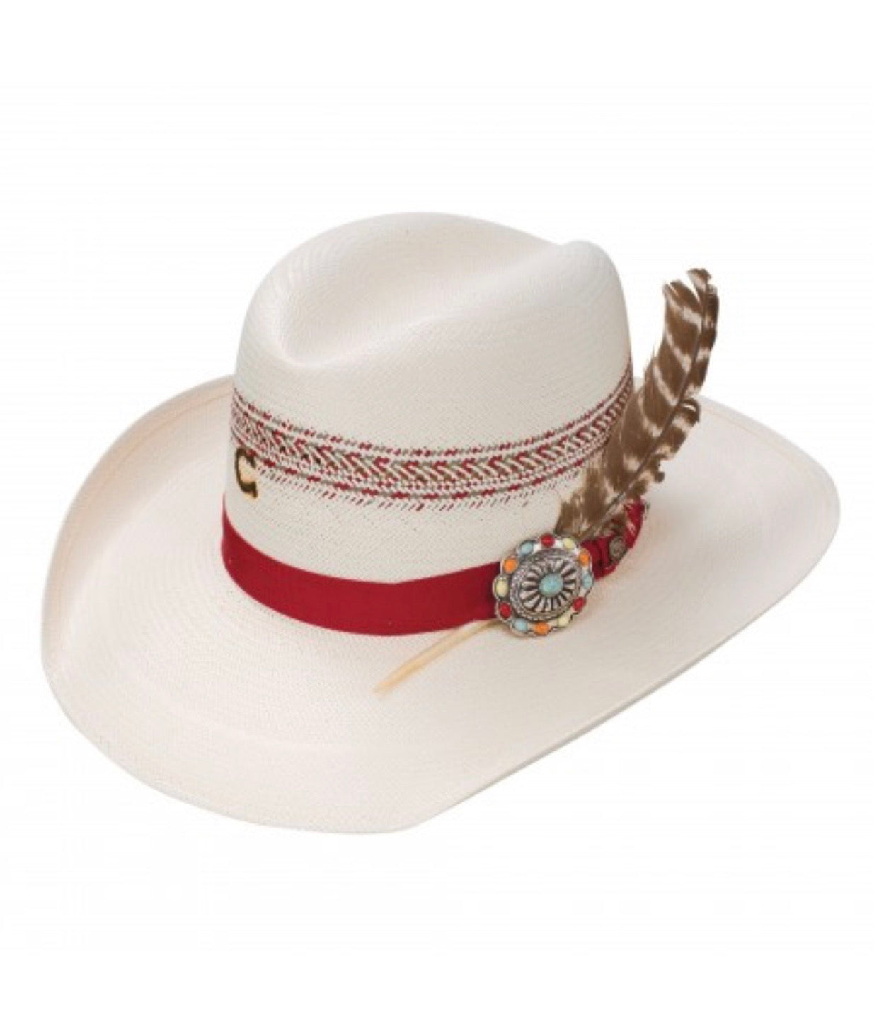 Charlie 1 Horse - Stir Crazy