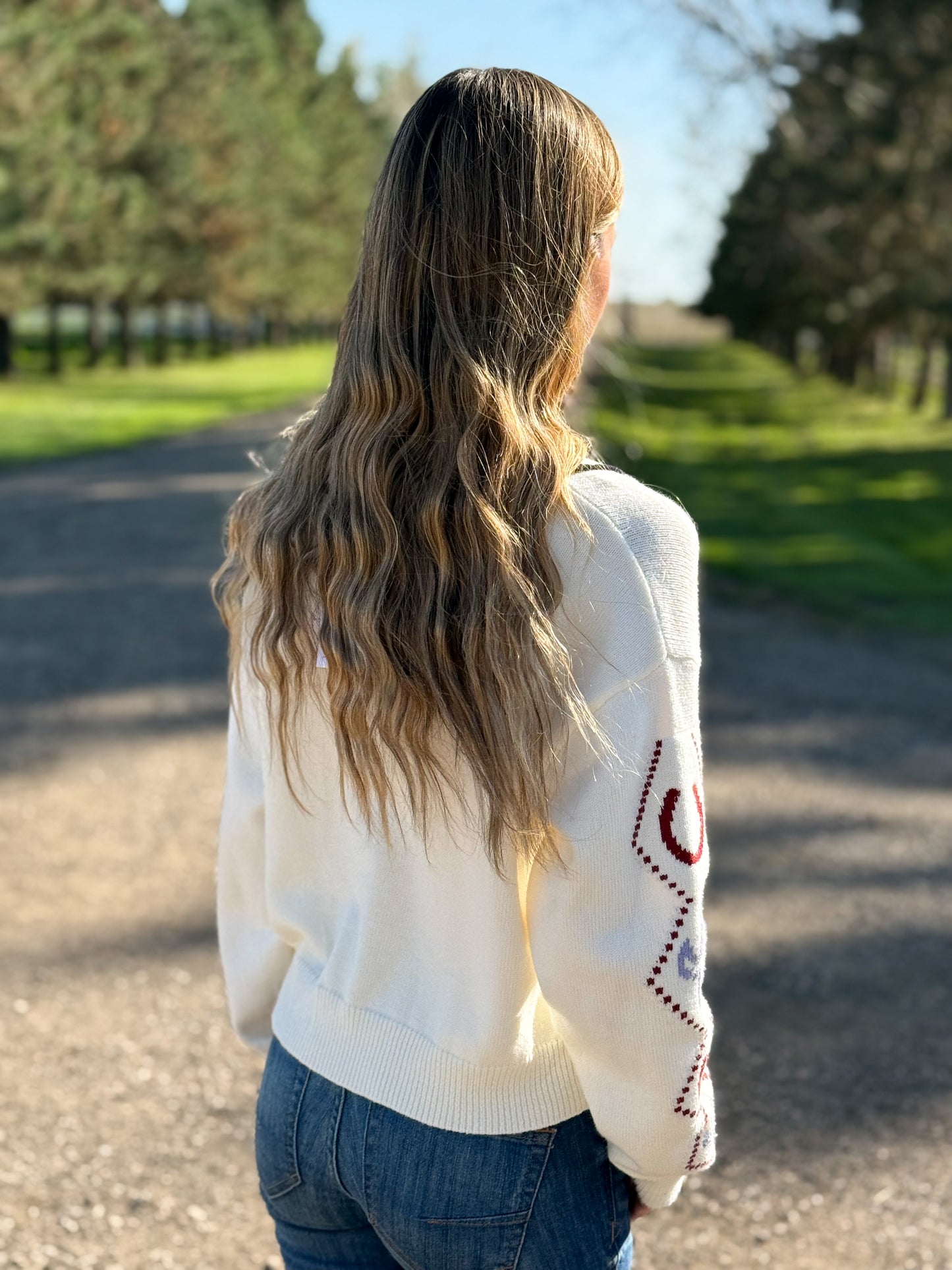 The Horse Sweater