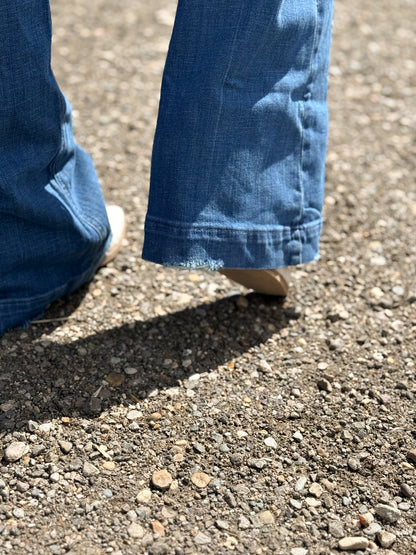 Ariat - Elaina - High Rise Slim Trouser