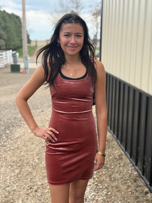 The Vintage Rose Dress