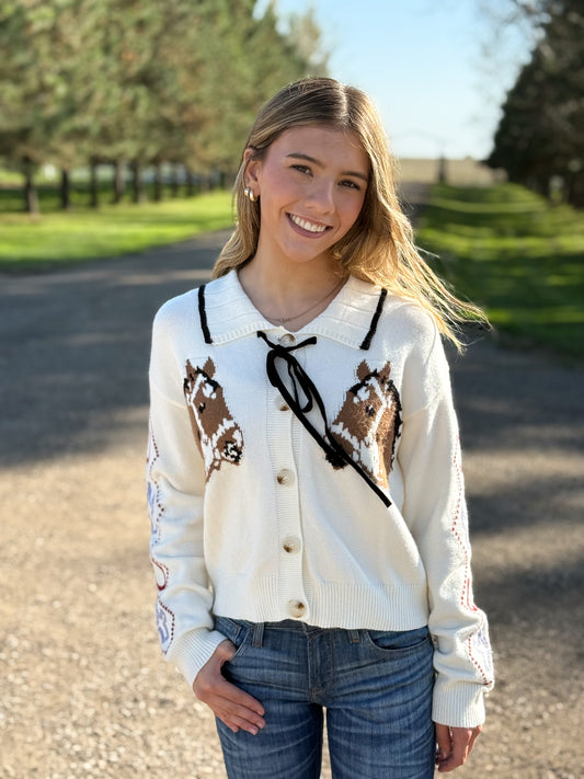 The Horse Sweater