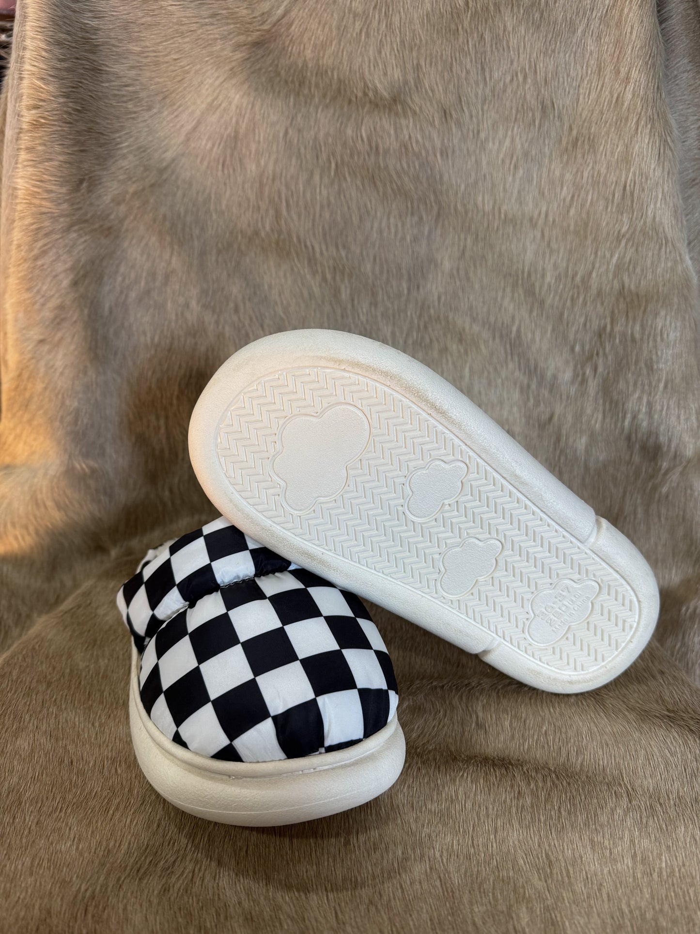 The Checkered Slippers