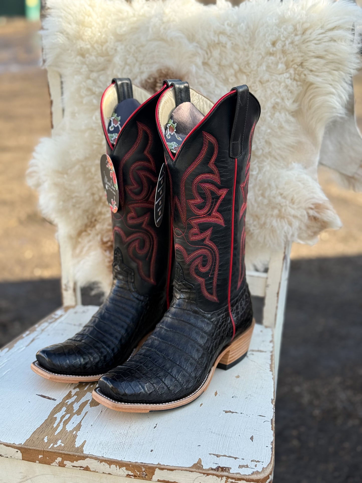 Macie Bean Black Caiman Belly