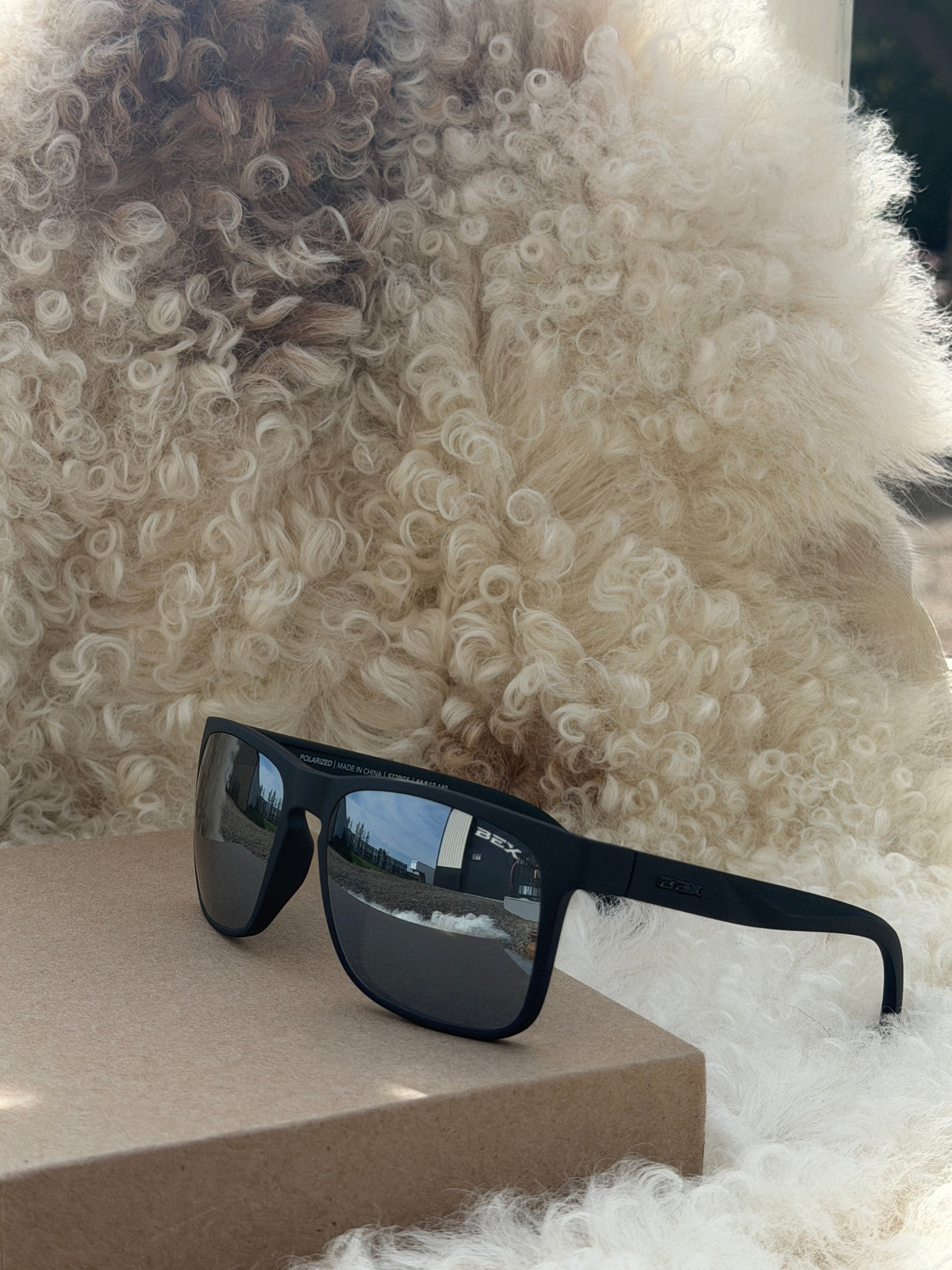 Bex- Jaebyrd X Black Silver Display(OPENED BOX- SOLD AS IS- FINAL SALE)