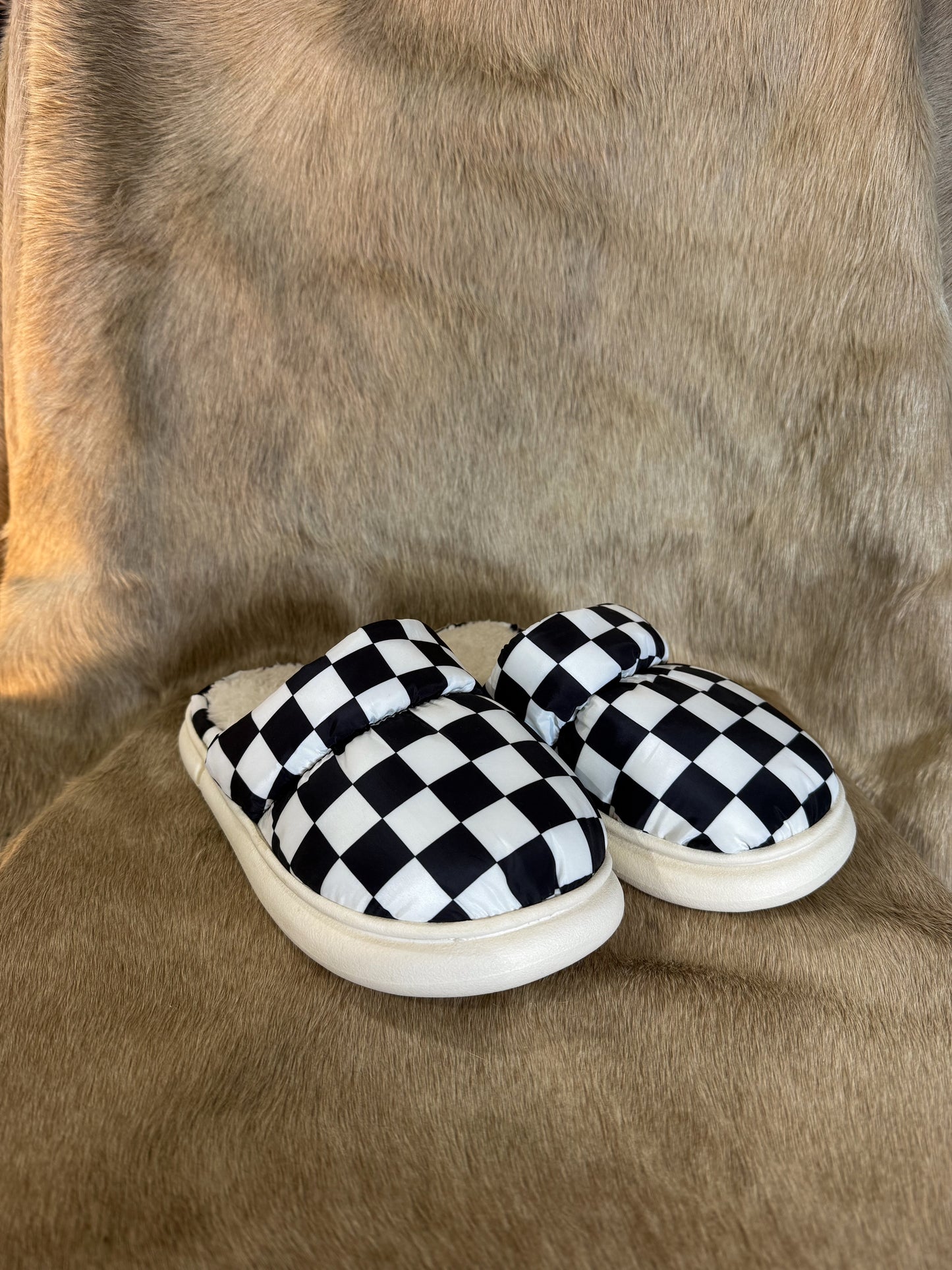 The Checkered Slippers