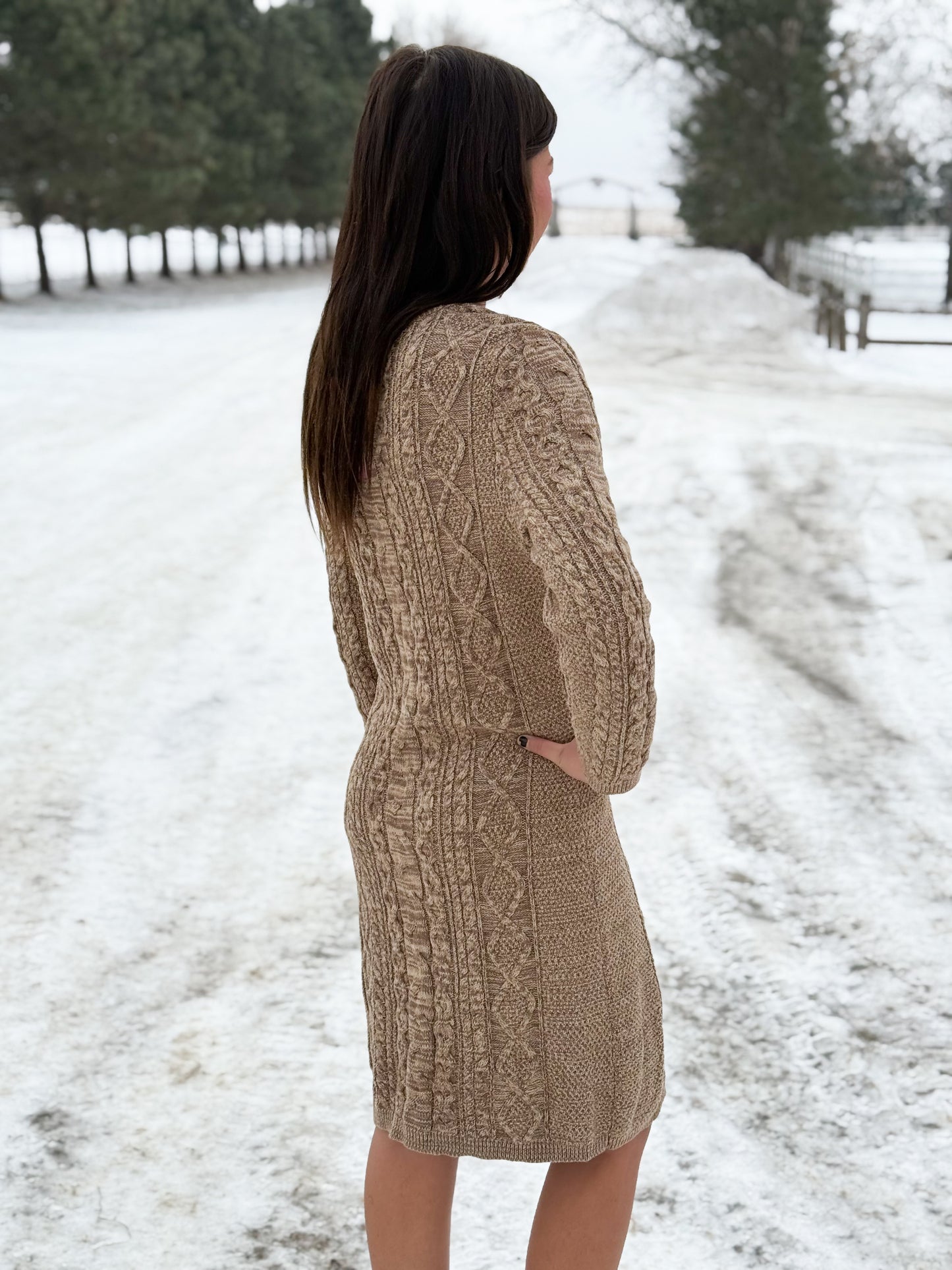 Tasha Polizzi - Whitney Sweater Dress