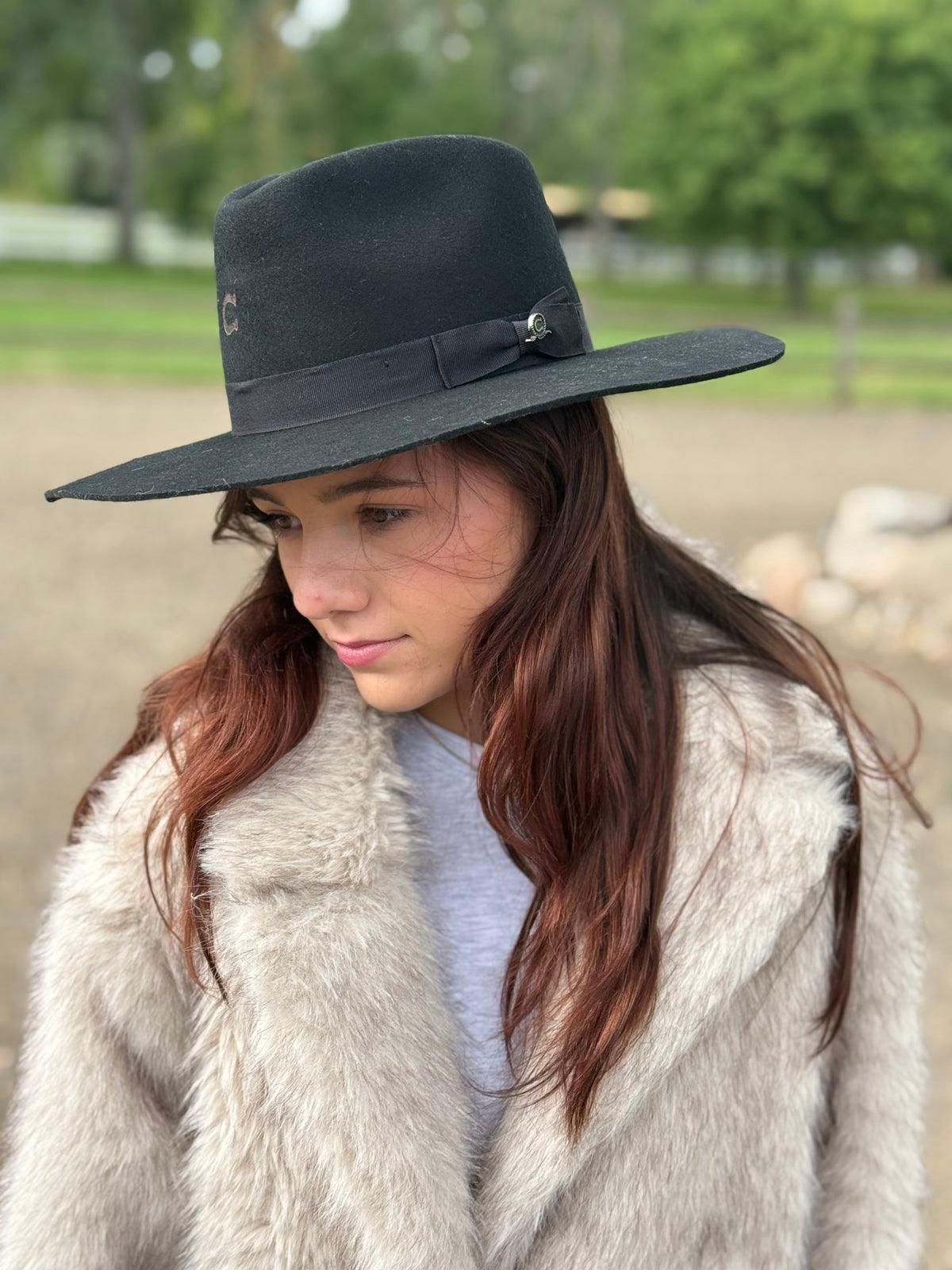Charlie 1 Horse - Highway - Black