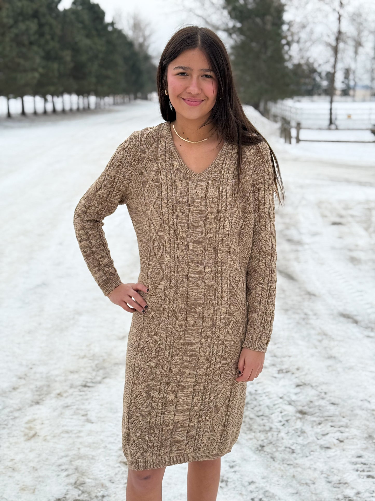 Tasha Polizzi - Whitney Sweater Dress