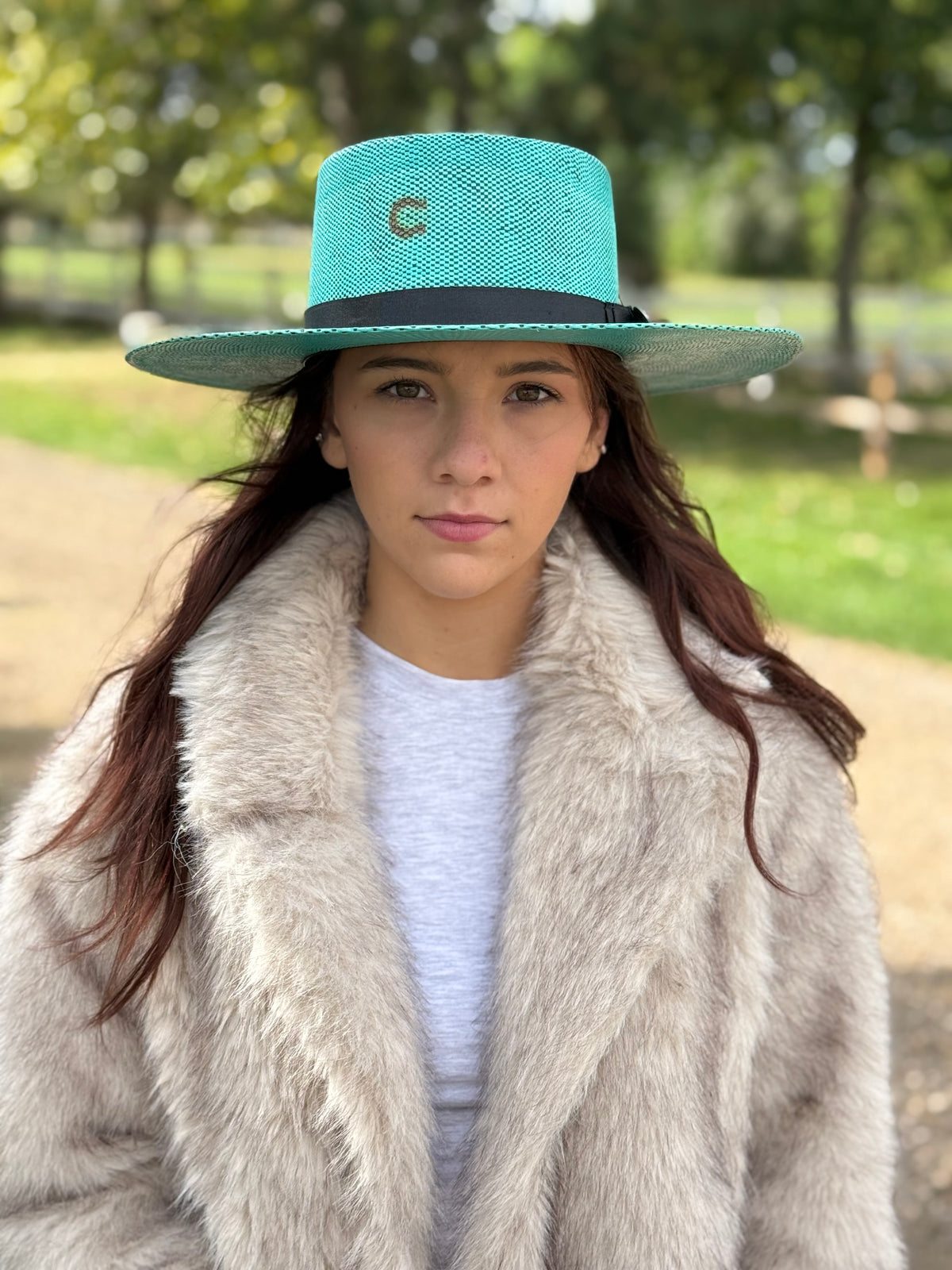 Charlie 1 Horse - Guardian - Teal