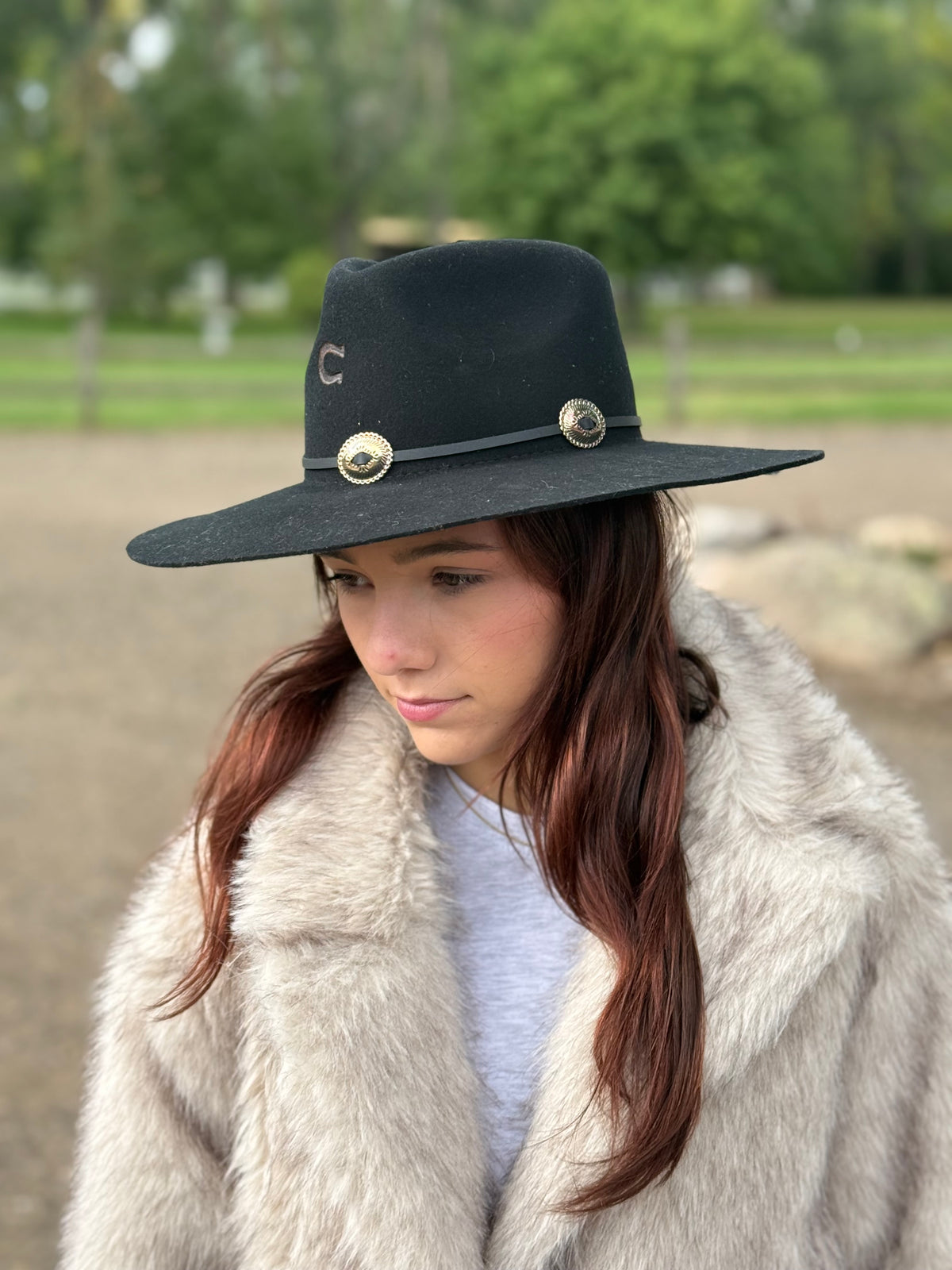Charlie 1 Horse - Traveler - Black