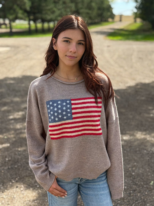 The Stars N Stripes Sweater