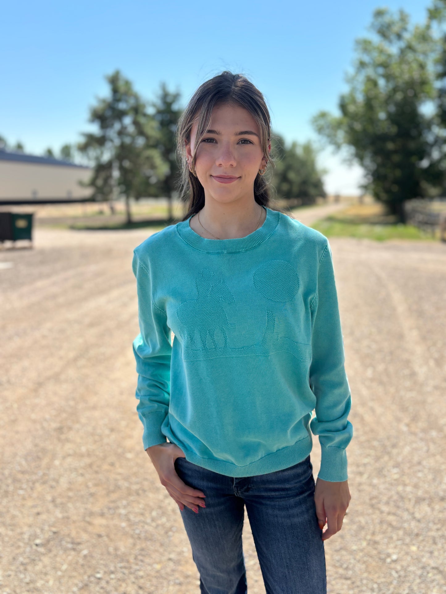 The Like A Cowboy Sweater