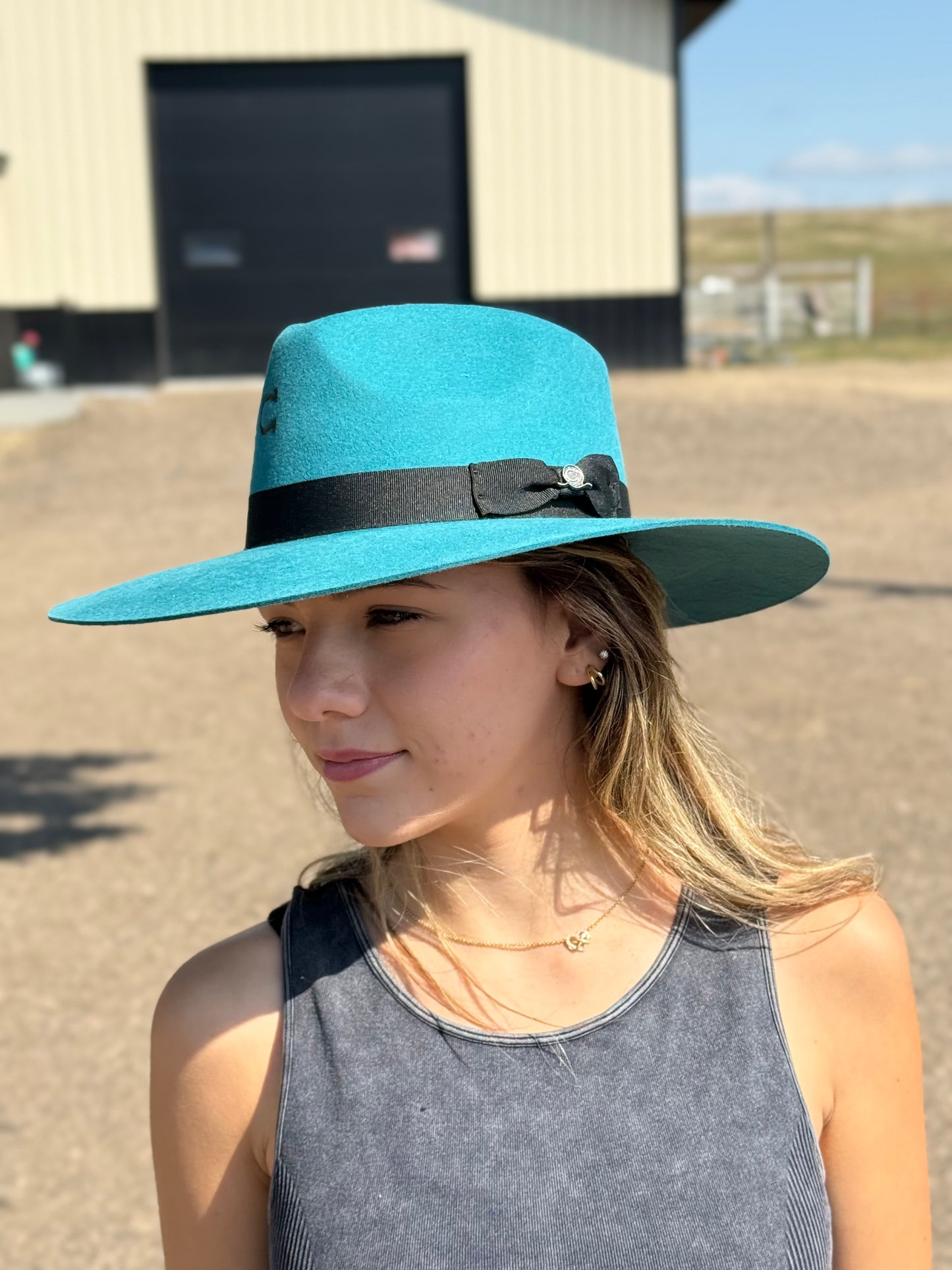 Charlie 1 Horse - Highway - Teal