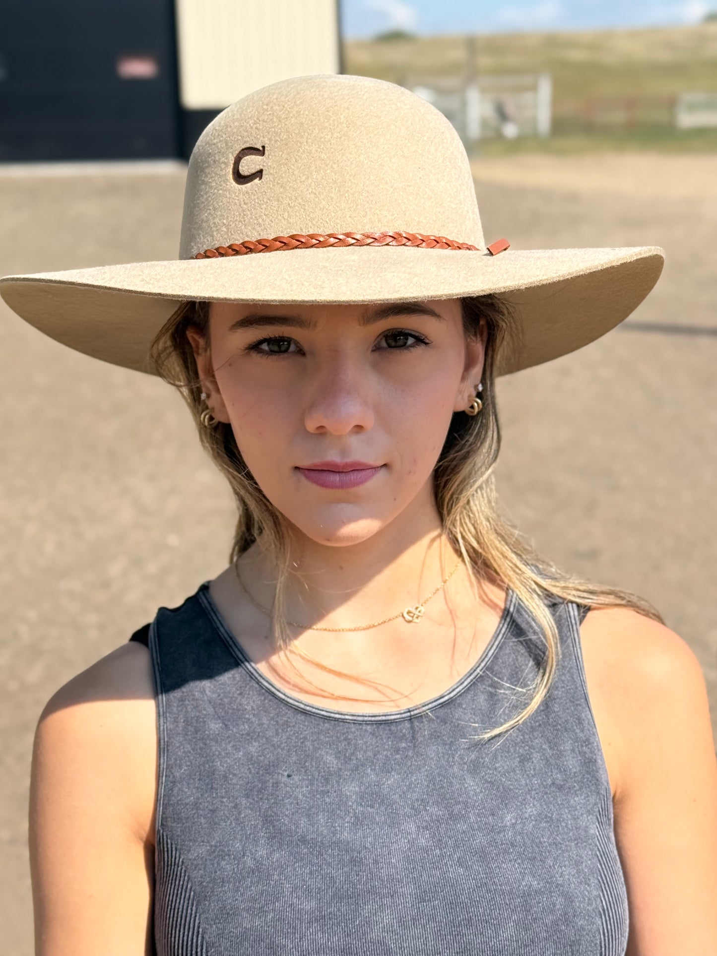 Charlie 1 Horse - Wanderlust - Sand