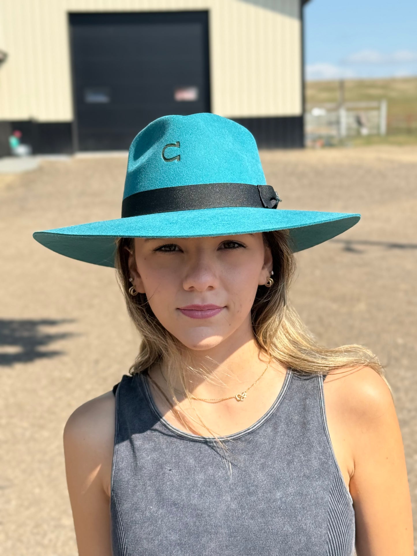 Charlie 1 Horse - Highway - Teal