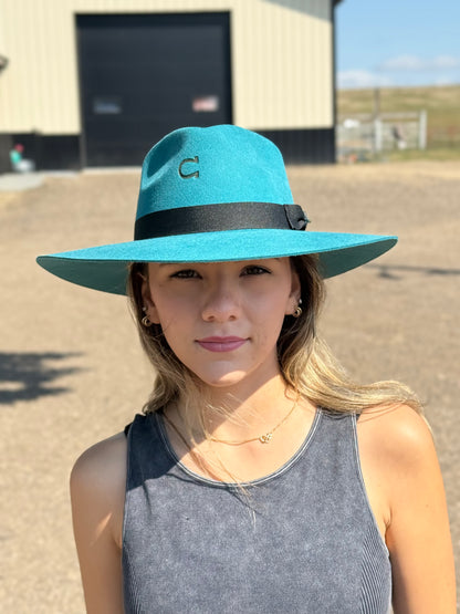 Charlie 1 Horse - Highway - Teal
