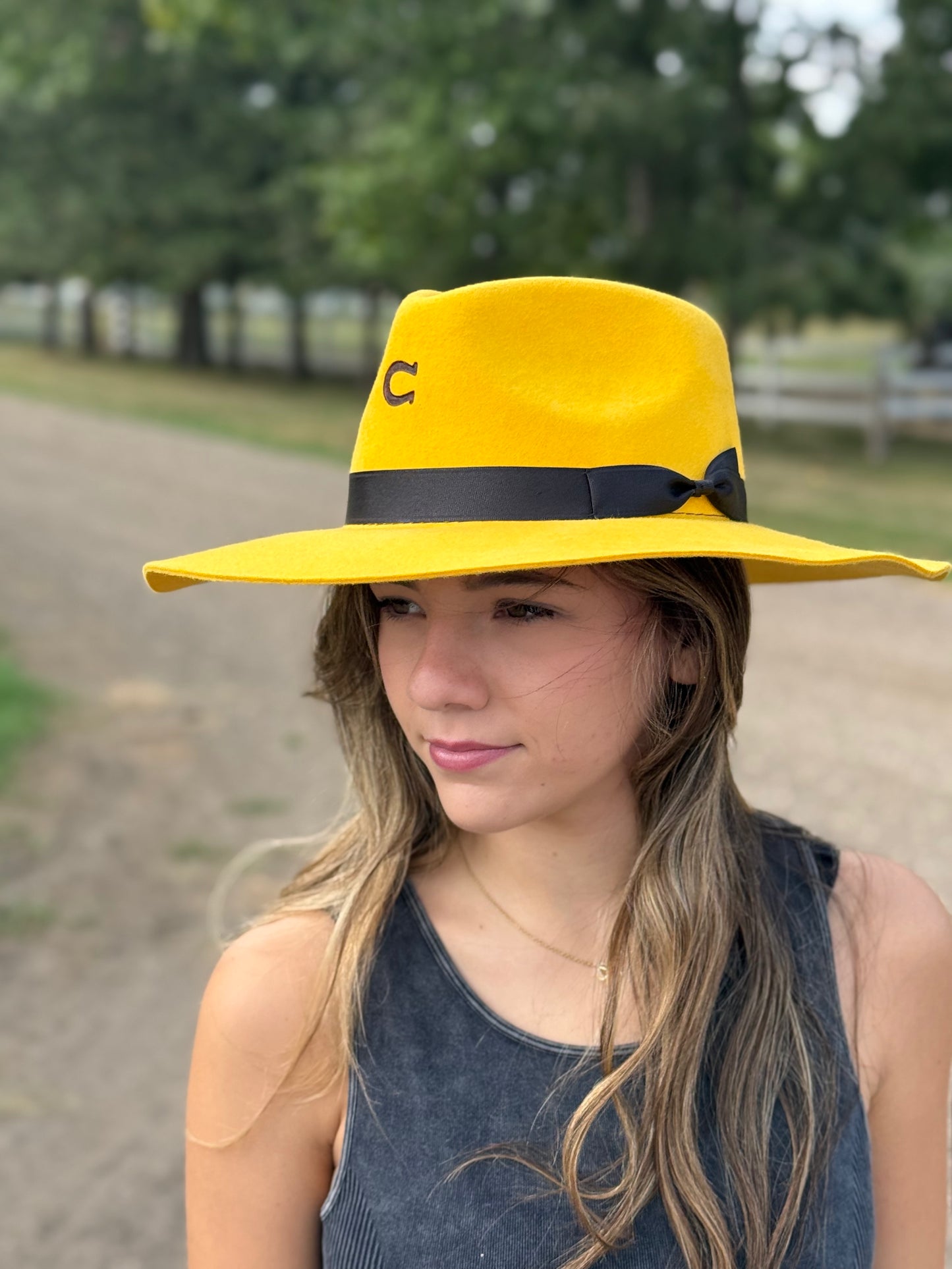 Charlie 1 Horse - Highway - Yellow - Black Band