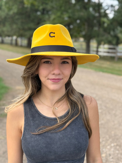 Charlie 1 Horse - Highway - Yellow - Black Band