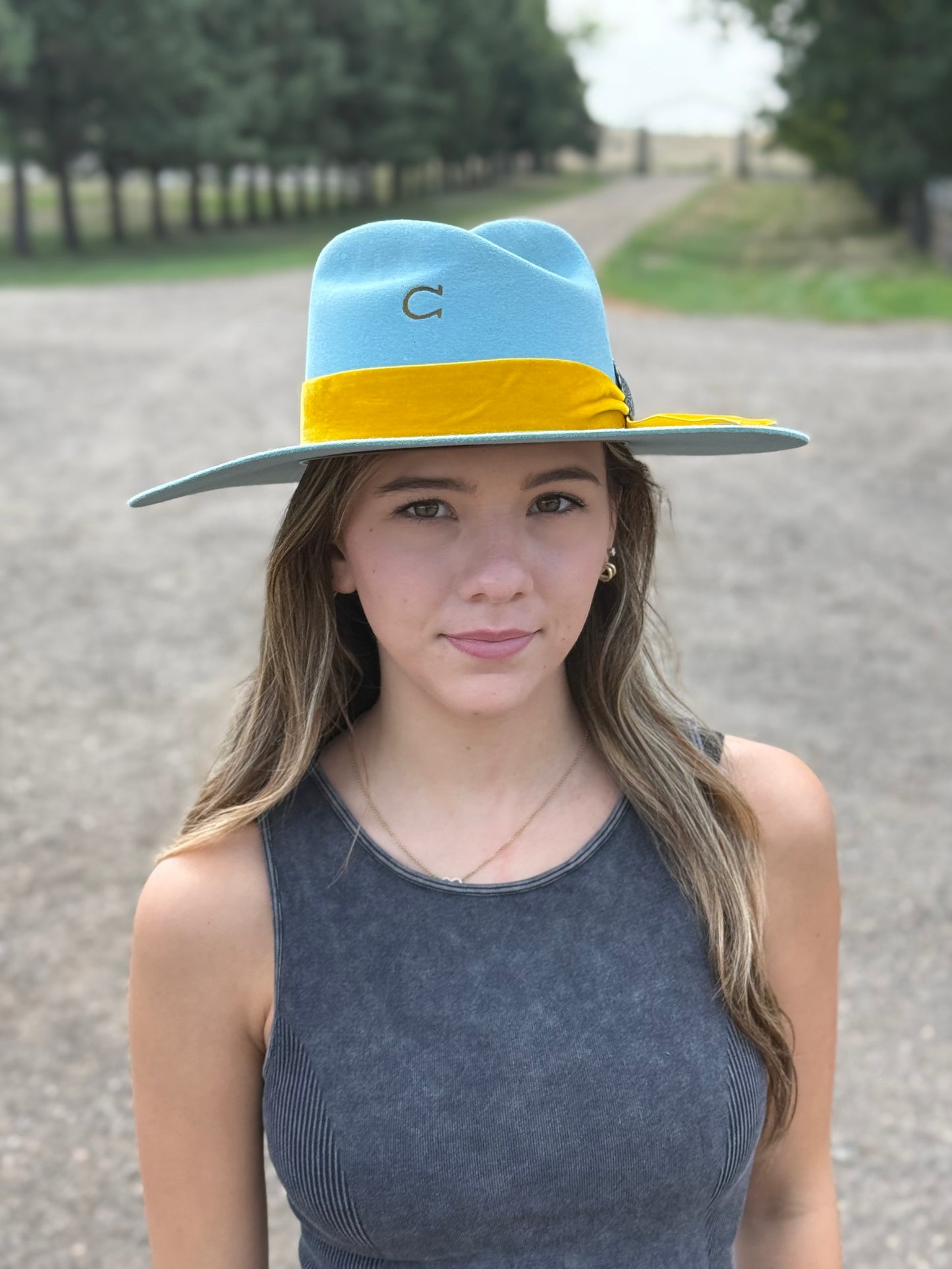 Charlie 1 Horse - Sundance - Baby Blue