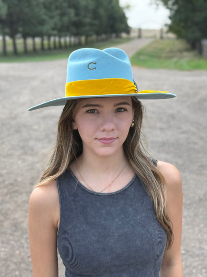 Charlie 1 Horse - Sundance - Baby Blue