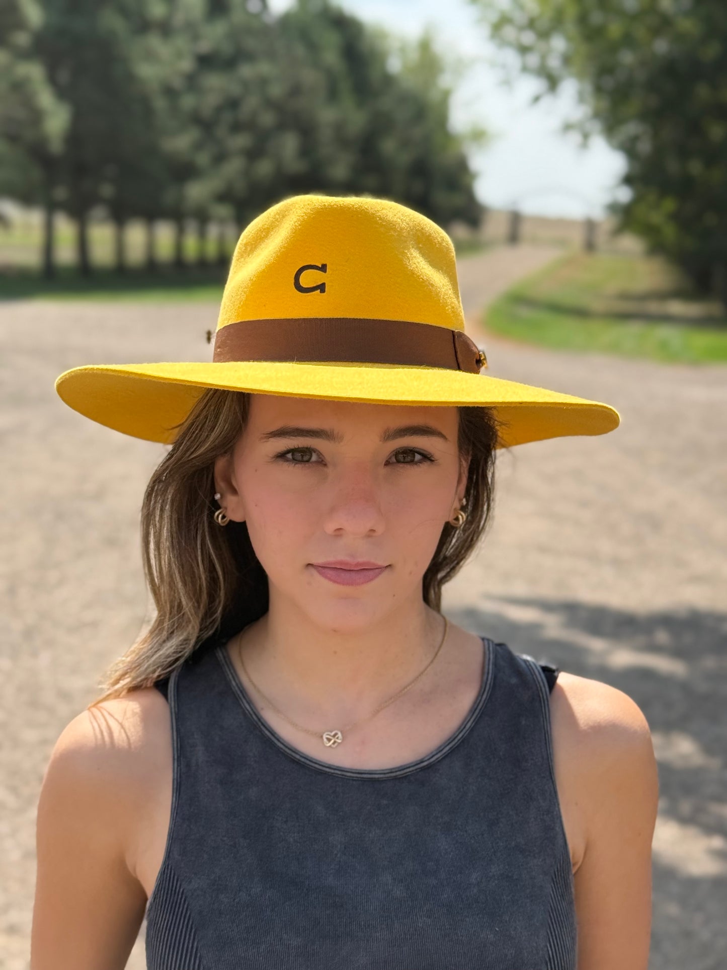 Charlie 1 Horse - Highway - Yellow - Brown Band