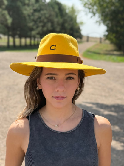 Charlie 1 Horse - Highway - Yellow - Brown Band