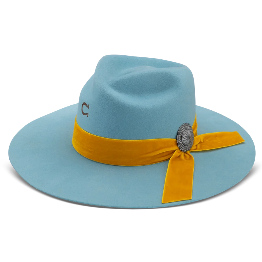 Charlie 1 Horse - Sundance - Baby Blue