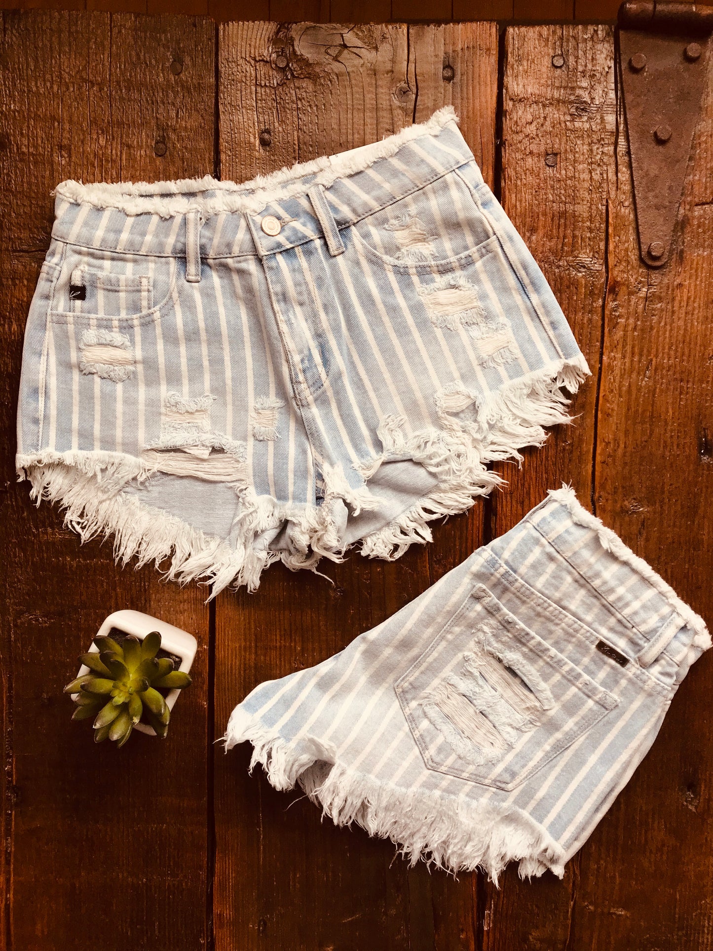 The Abilene Shorts