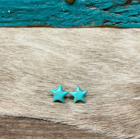 The Star Studded Earrings